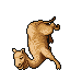 Dromedary Dromedary