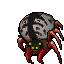 Wailing Widow