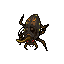 Mycobiontic Beetle Mycobiontic Beetle