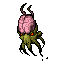 Brain Squid Brain Squid