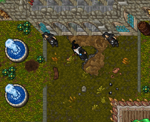Guardas da Entrada