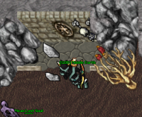 Skeleton Wall.png